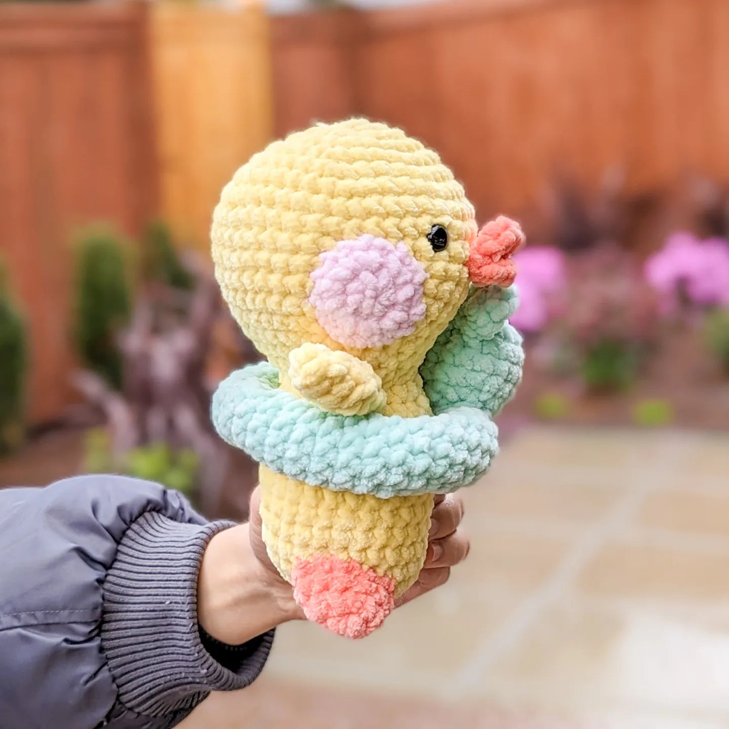 Duck with Frog Floatie