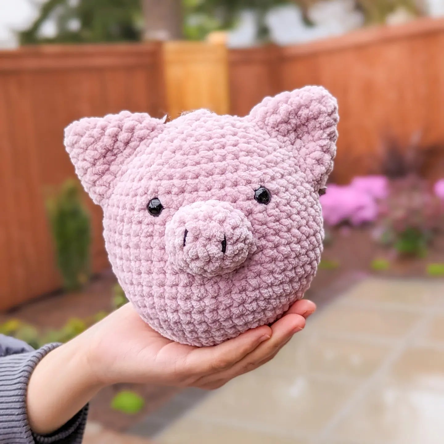 Pink Pig