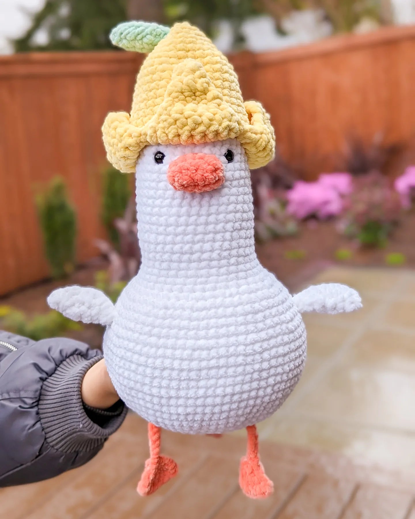 Duck with Lemon Hat