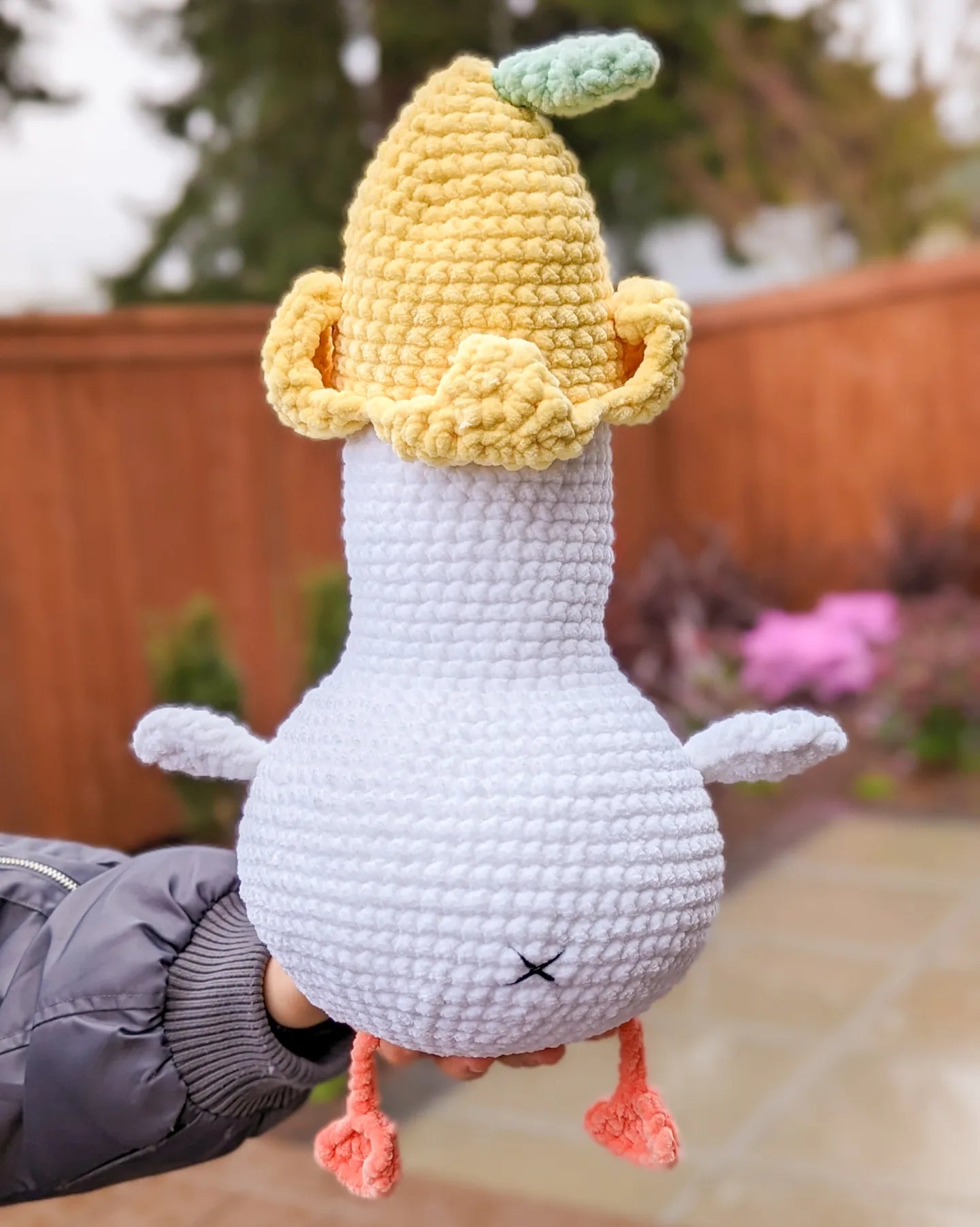 Duck with Lemon Hat