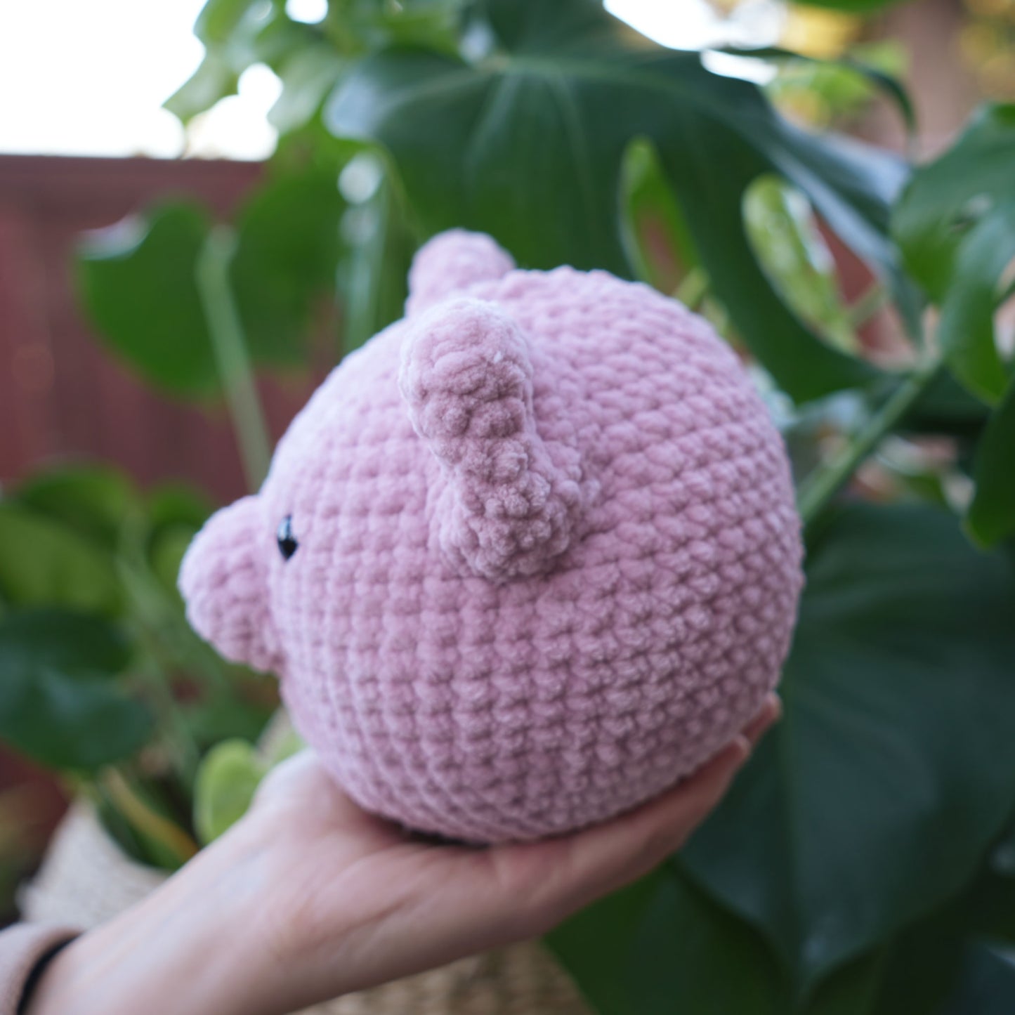 Pink Pig