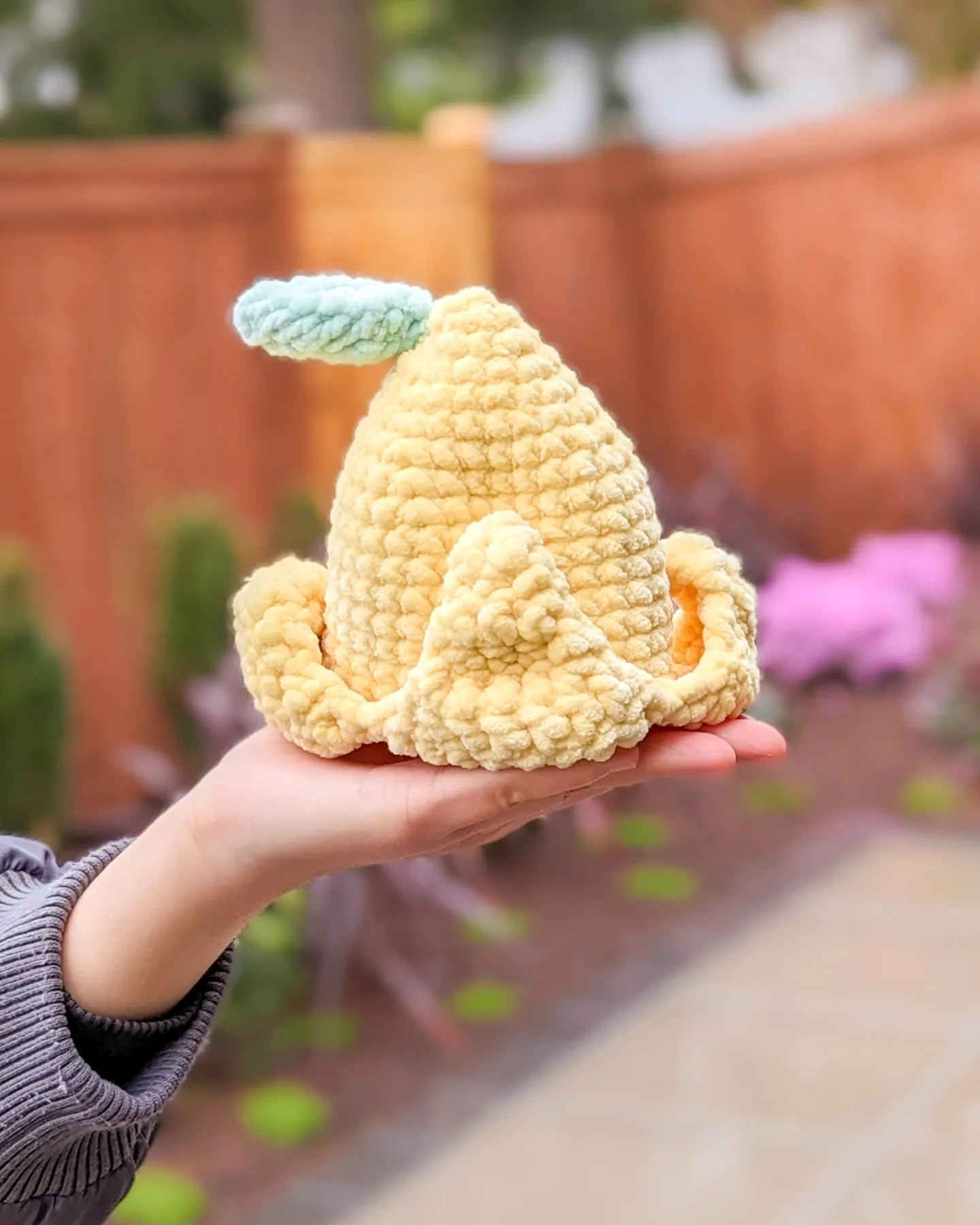 Duck with Lemon Hat